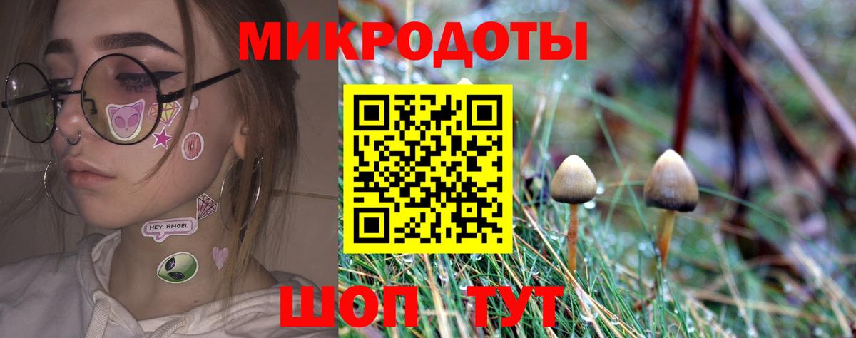 Псилоцибиновые грибы мухоморы Таганрог
